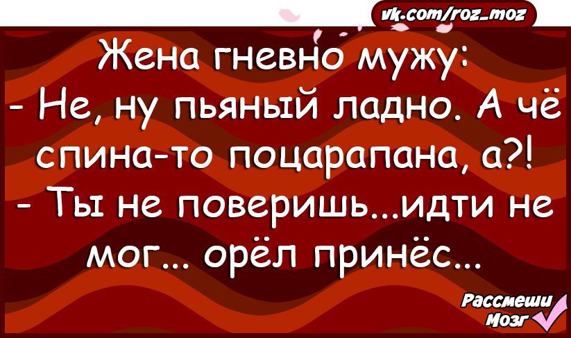 Анекдот про спину. Анекдот про спину расцарапанную. Анекдоты про спину. Анекдот про царапины на спине у мужа. Спина прикол.