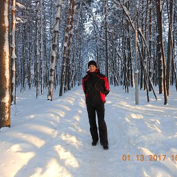 �������, ���, 62 ����