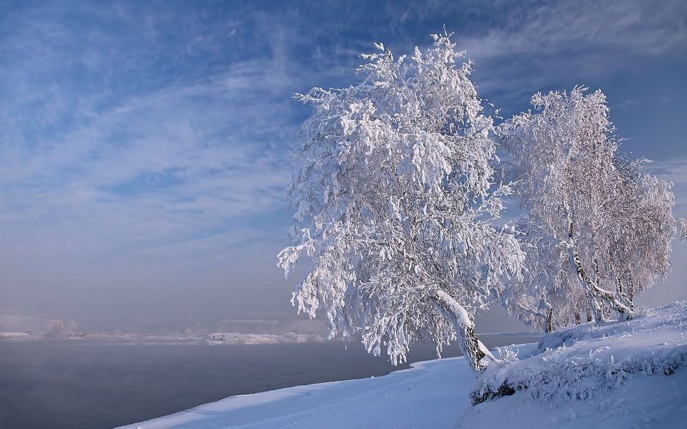  ! - 31  2016  14:29 - 2