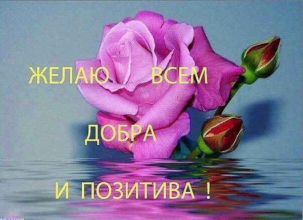 ~Dasha~ - 17  2016  08:27