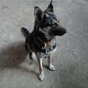  , , 67  -  9  2017    .