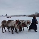 �������� ����������. 04.03.2017�. �� ������� ������