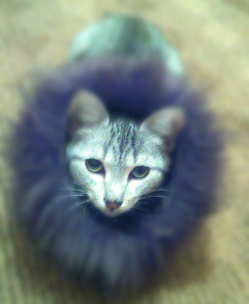 #_.,  .        .   ... - 2