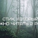 ���� ������, �����������, 29 ��� - ��������� 12 ����� 2017 � ������ ������ ��������