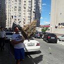 ���� ���������, ������, 40 ��� - ��������� 23 �������� 2016 � ������ ���� ����������