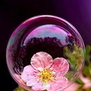 ���� �����, ������, 105 ��� - ��������� 5 ����� 2017 � ������ ������ ��������