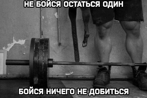  -   - 14  2016  19:58
