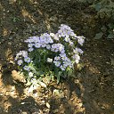  , , 73  -  25  2016     2016