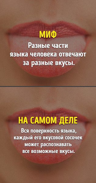 9 фактов из школьной программы, которые оказались неправдой - 8