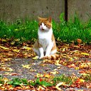 ���� �����, ������� �������� - ��������� 23 ������� 2016 � ������ ������ ��������