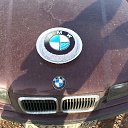 ���� Andrey, ���, 43 ���� - ��������� 26 ������� 2017 � ������ ������ ��������