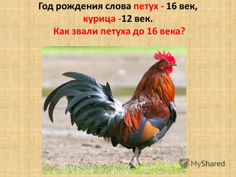   ... - 5