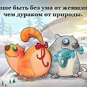 ���� ������������, ��� - ��������� 28 ������� 2017 � ������ ������ ��������