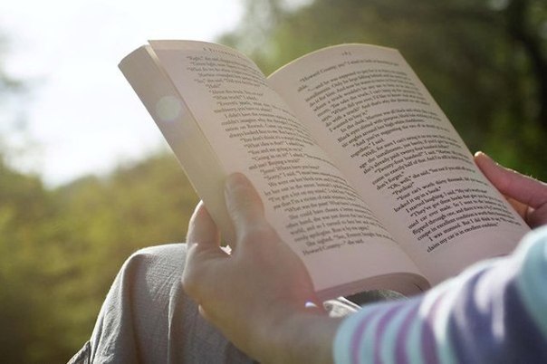 Занятия, которые можно освоить, не отходя от компьютера. 1. Научитесь читать быстрее Spreeder — это ...