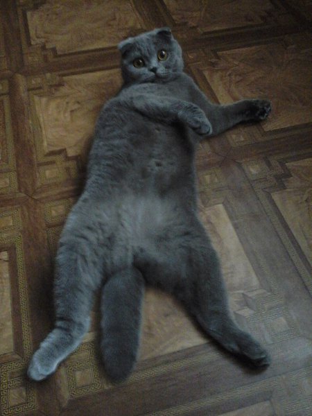   ... )))