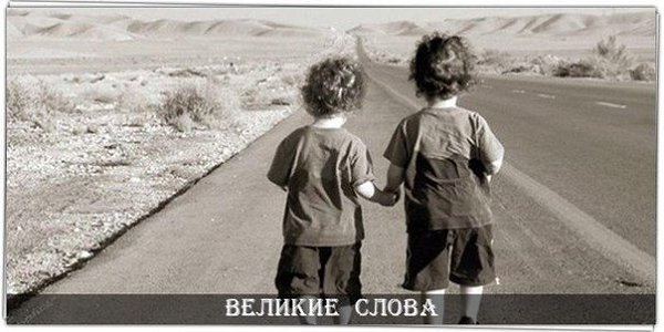 Взаимодействуя с людьми, помни три правила: - Не ты их создал такими, - Не тебе их судить, - Не тебе ...
