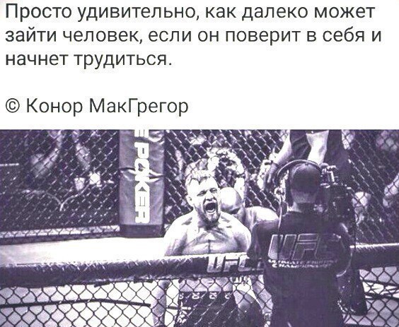  -   - 21  2016  21:31