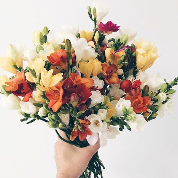 ����� ������� - 31 ������ 2017 � 01:07 - 6