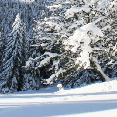   :).   :1.   5   .2.    . ... - 5