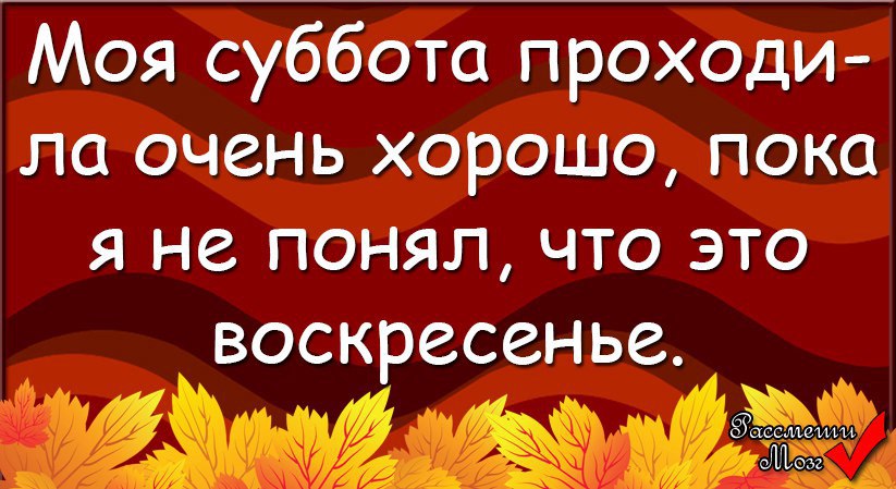 Год прошел хорошо. Моя суббота проходила очень. Моя суббота проходила очень хорошо. Моя суббота проходила очень хорошо пока. Моя суббота проходила хорошо пока я не поняла что это воскресенье.