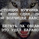  , , 48  -  29  2016    