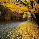 ���� �������, ������� - ��������� 25 �������� 2016 � ������ ���� ����������