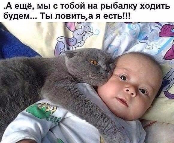  - - 21  2017  09:03