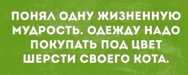    - 26  2017  14:13
