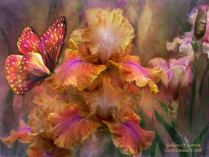 ))).    Carol Cavalaris,   .   - ... - 5
