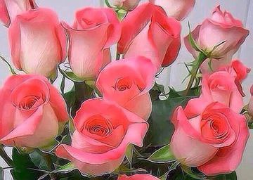 �������, ������, 40 ���