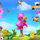     (),  , 24  -  11  2017    -