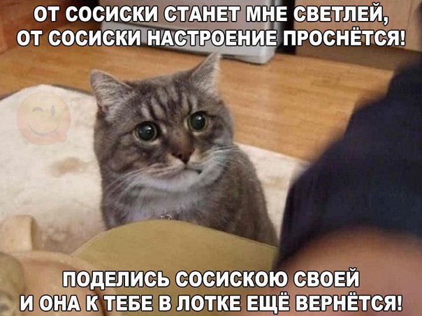     - 1  2016  06:05