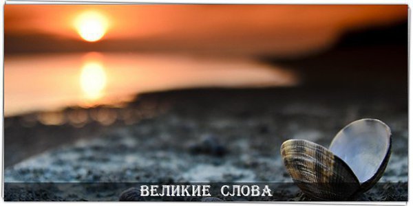 Я знаю мир: в нем вор сидит на воре, Мудрец всегда проигрывает в споре, Бесчестный - честного ...