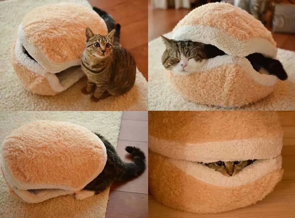 :3