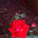 ���� ����, ������ - ��������� 29 ������� 2016 � ������ ���� ����������