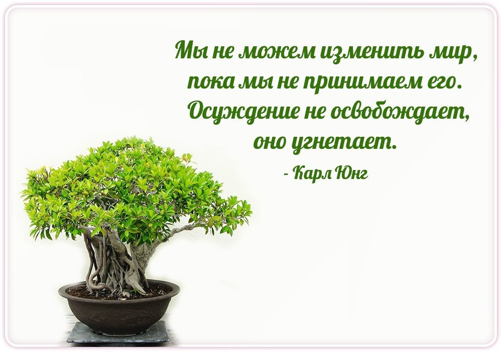  | Yoga - 27  2016  22:15