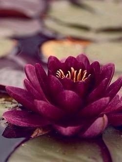 ���, ��� �� ����������, ������ ���, ��� �����, � ������ � �������. ������ �������� - 3