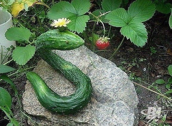          - 5