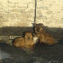 ���� �����, ��������, 40 ��� - ��������� 27 ������ 2017 � ������ ������ ��������