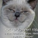 ���� ��������, ������, 34 ���� - ��������� 24 ������� 2016 � ������ ���� ����������