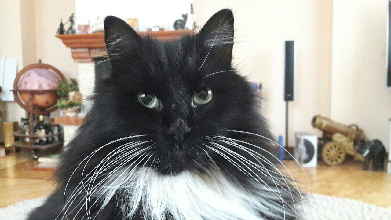 #_.     , , ,   ,   ... - 3