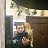 ���� Nikolay, ����, 39 ��� - ��������� 7 ������� 2016