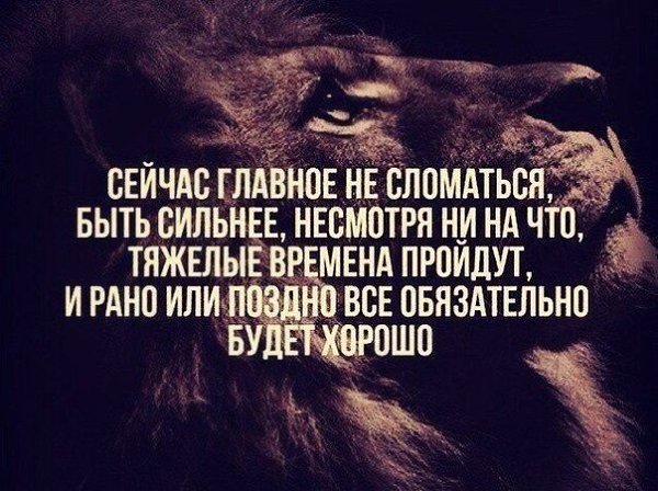  -   - 29  2016  01:32