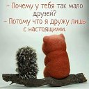 ���� ������, ������ - ��������� 15 �������� 2016 � ������ ���� ����������