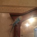 ���� �����, ������������, 45 ��� - ��������� 12 �������� 2016 � ������ ���� ����������