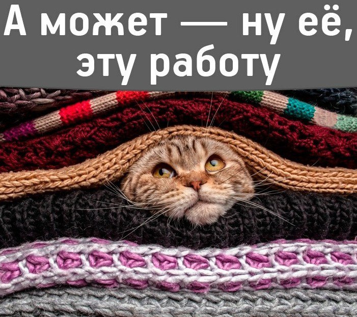 ***Victoria Viktorovna*** - 13  2016  02:23