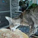 ...�������.. �� ������� ���� ����������
