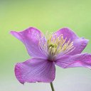 ���� ������, ������, 44 ���� - ��������� 25 ������ 2016 � ������ ������ ��������