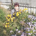 ���� Valya, ������� - ��������� 9 ������ 2017 � ������ ���� ����������
