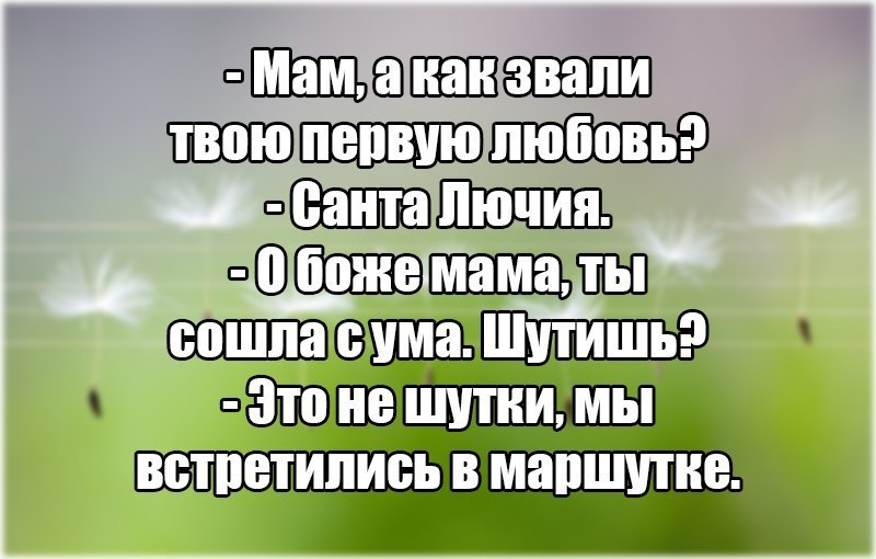 Песни о мама схожу сума. Песня тату я сошла сума. Песня я сошла с ума мне нужна она. Песни о мама схожу сума. Песни о мама схожу сума.
